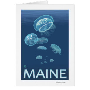 Scène MaineJellyfish