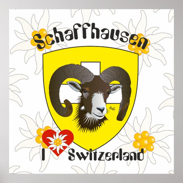 Schaffhausen - Schweiz - Suisse - Svizzera Poster (Devant)