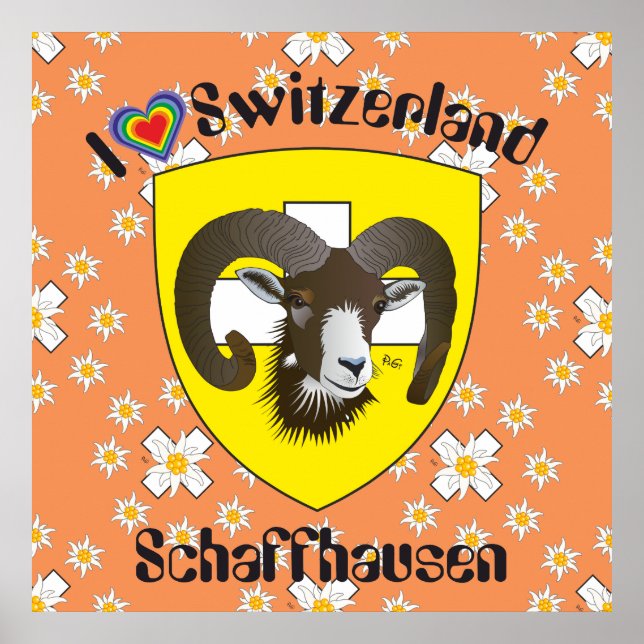 Schaffhausen - Schweiz - Suisse - Svizzera Poster (Devant)