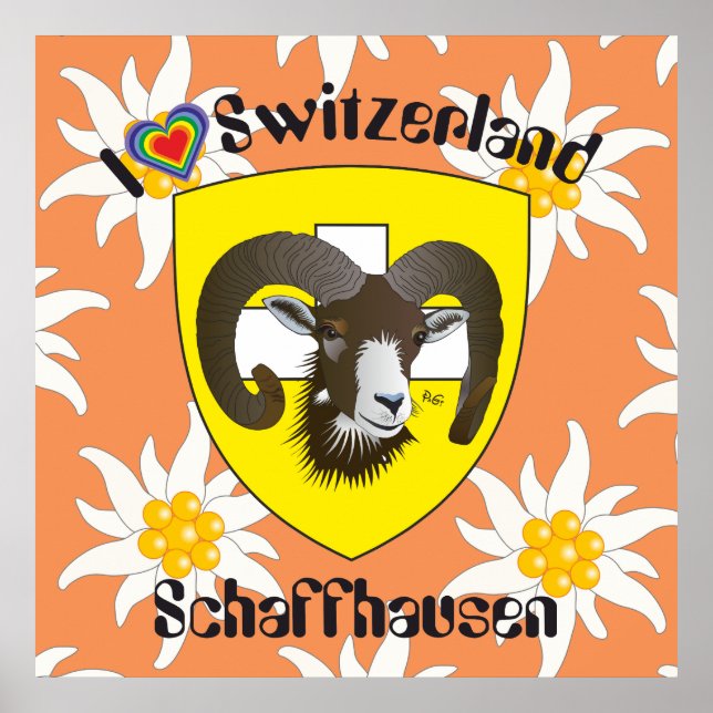 Schaffhausen - Schweiz - Suisse - Svizzera Poster (Devant)