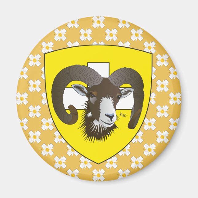 Schaffhouse - Suisse - Suisse - Svizzera Magnet (Devant)