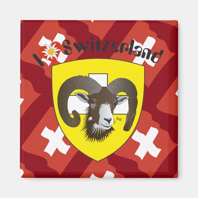 Schaffhouse - Suisse - Suisse - Svizzera Magnet (Devant)