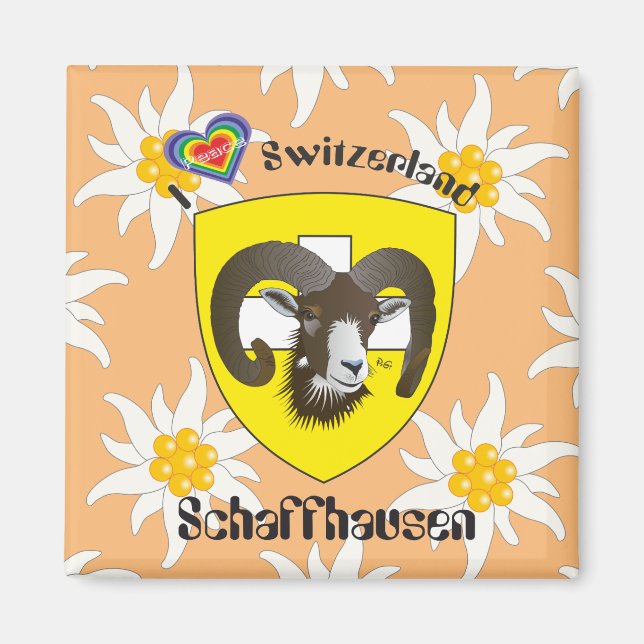 Schaffhouse - Suisse - Suisse - Svizzera Magnet (Devant)