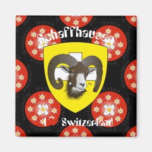 Schaffhouse - Suisse - Suisse - Svizzera Magnet