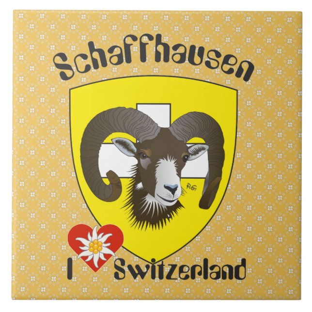 Schaffhouse - Suisse - Svizzera Carreau (Devant)
