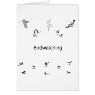 Schéma observation des oiseaux