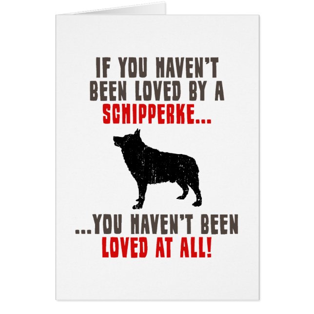 Schipperke (Devant)