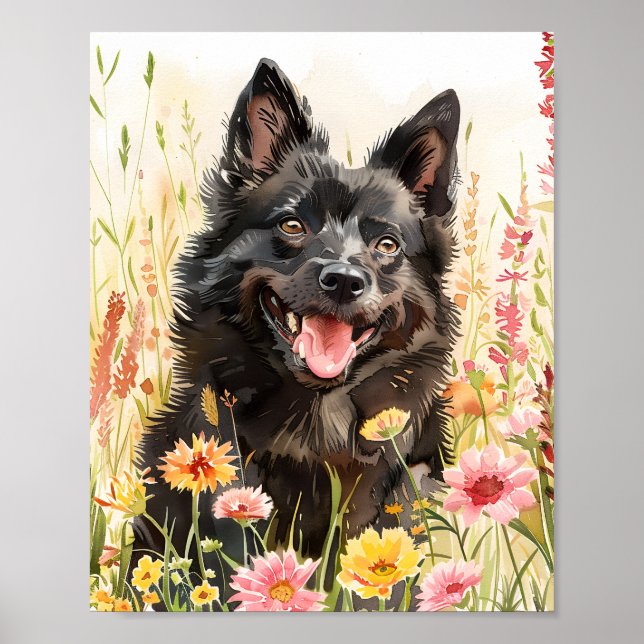 Schipperke Chig Watercolor Portrait Poster murale (Devant)