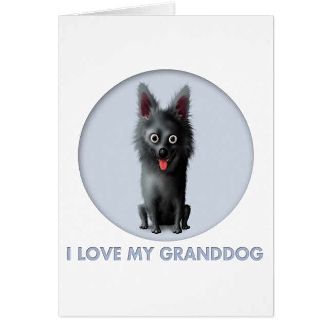 Schipperke Granddog (Devant)