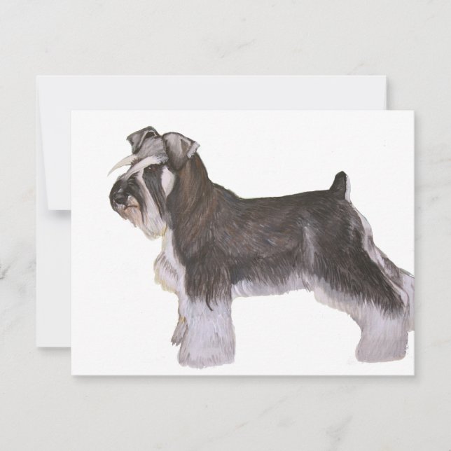 Schnauzer (Devant)