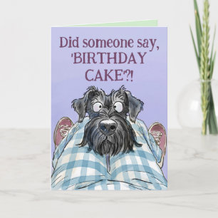 Schnauzer Funny Faim Carte de voeux d'anniversaire