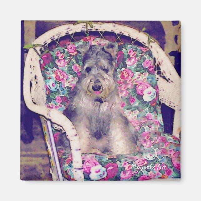 Schnauzer Magnet (Devant)