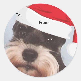 Schnauzer miniature To/From des autocollants de