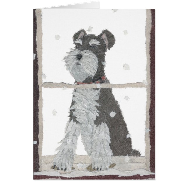 Schnauzer, neige, hiver, art de chien (Devant)