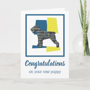 Schnauzer Puppy Chien Félicitations Carte de voeux