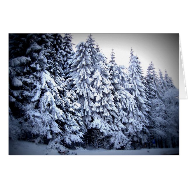 Schnee (Devant Horizontal)