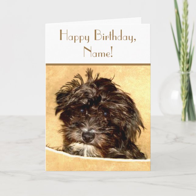 Schnoodle Anniversaire Carte texte personnalisable (Devant)