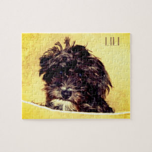 Schnoodle Puzzle Personnalisé