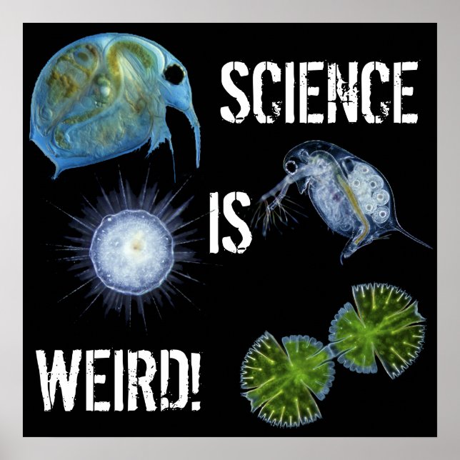 Science est une affiche bizarre ! (Devant)