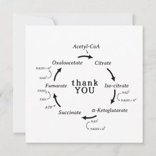 Science Merci Professeur Kreb's Cycle Biology