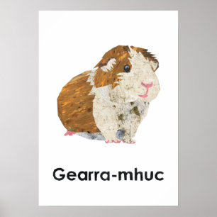 Sco - Poster Gearra-mhuc