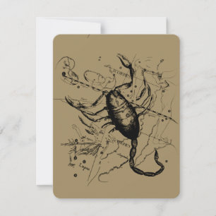 Scorpio Constellation Hevelius 1690 Décor