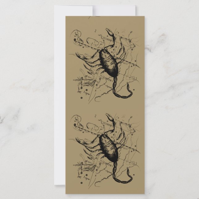 Scorpio Constellation Hevelius 1690 Décor (Devant)