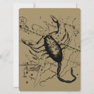 Scorpio Constellation Hevelius 1690 Décor