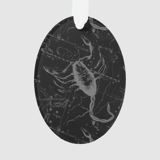 Scorpio Constellation par Hevelius 1690 (dos)