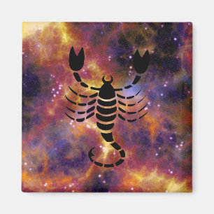 scorpio scorpion magnet