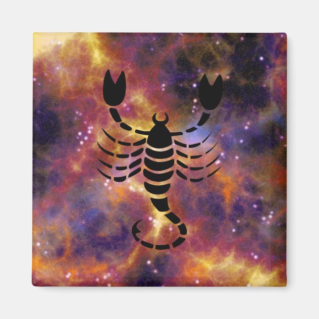 scorpio scorpion magnet (Devant)