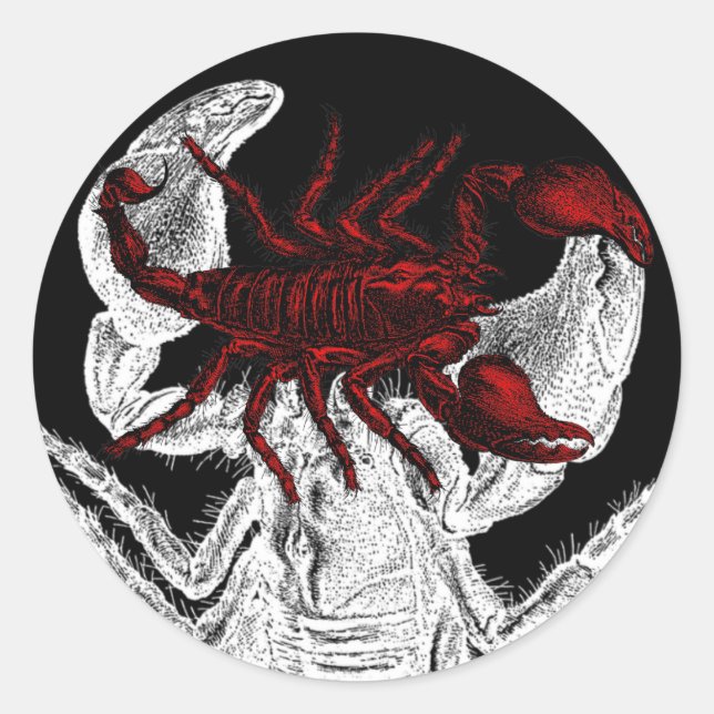 Scorpion rouge - Sticker (Devant)