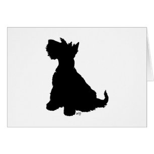 Scottie Chien Assis