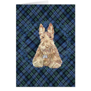 Scottie Tartan