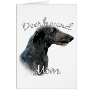 Scottish Deerhound Maman 2