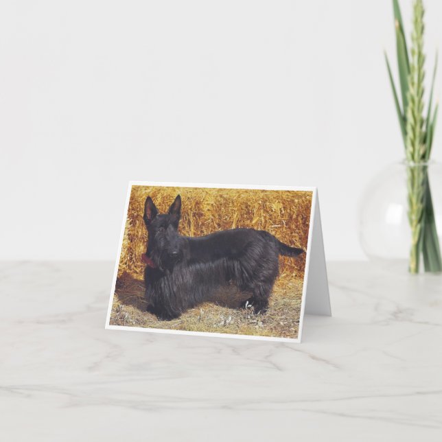 Scottish Terrier, carte de note (Devant)