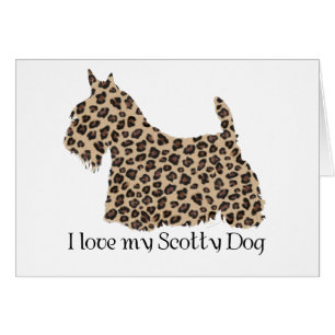 Scottish Terrier Cheetah