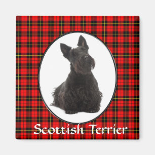Scottish Terrier Magnet