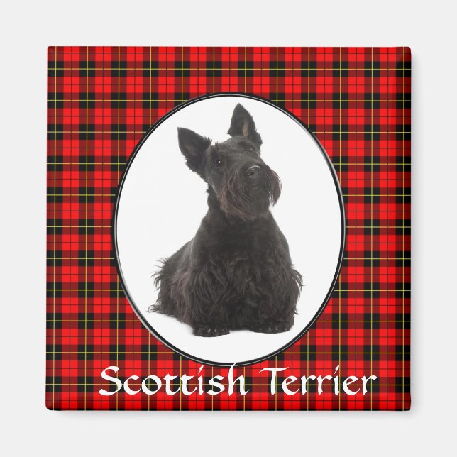 Scottish Terrier Magnet (Devant)