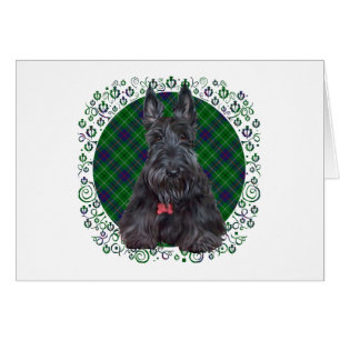Scottish terrier on tartan