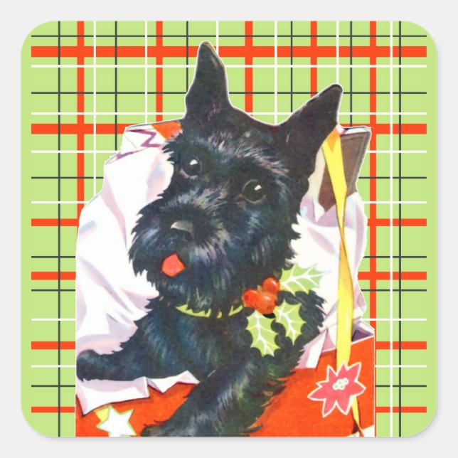 Scottish Terrier Scottie avec autocollants en plai (Devant)