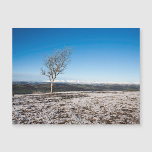 Scout Scar Winter Lake District Angleterre