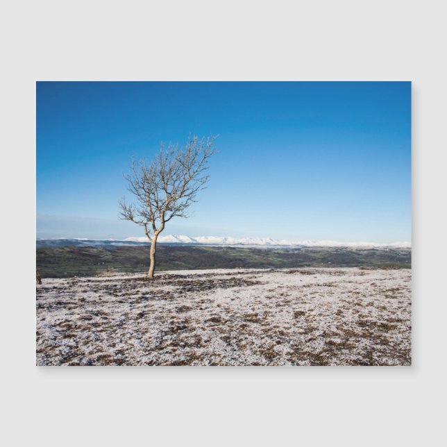 Scout Scar Winter Lake District Angleterre (Devant)
