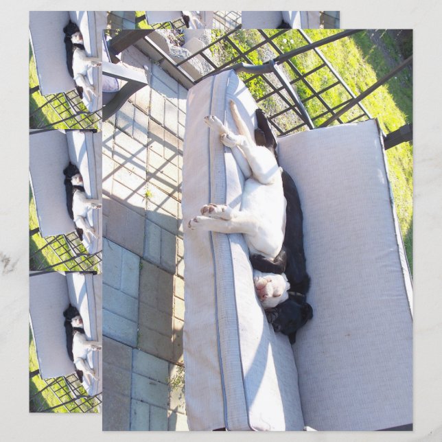 scrapbook de sommeil du groupe de laboratoire (Devant / Derrière)