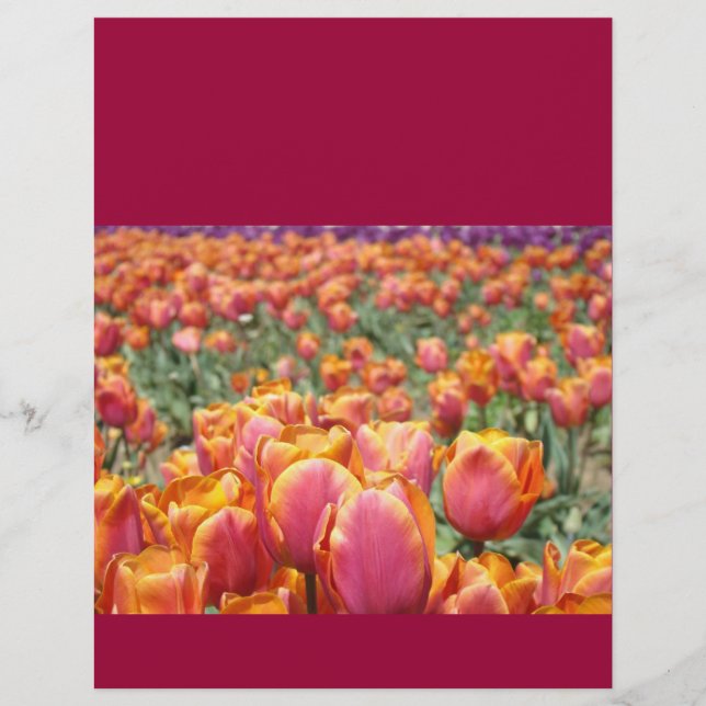 Scrapbooking papier Colorful Tulip Flowers Festiva (Devant)