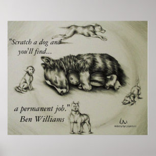 Scratter a Dog - Poster Dormir de Chien