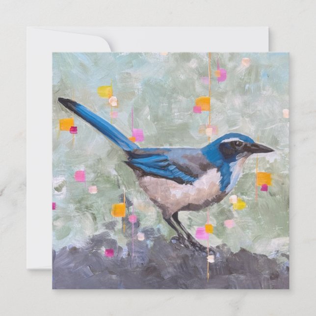 Scrub Jay (Devant)