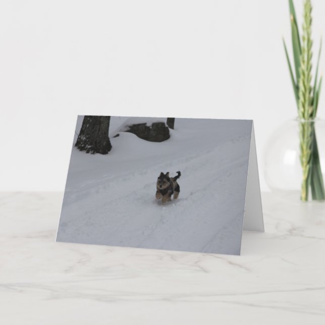 Se précipitant la carte déterminée de chiot (Devant)