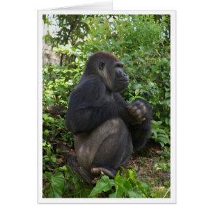 Se reposant, peut-être pensée, mais probablement,