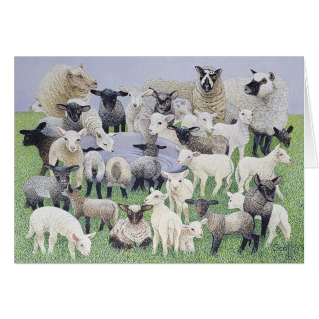 Se sentir timide (Devant horizontal)